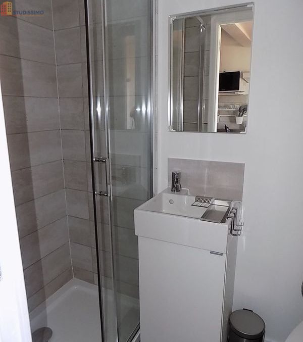 Studio meublé 19m² Foix - Meublé, DPE C - Photo 4