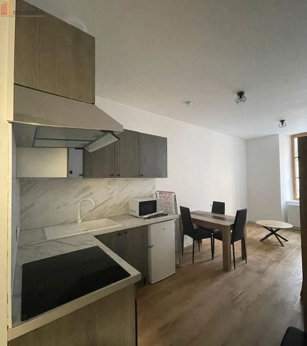 Studio meublé 22m² Pamiers 09100 - Neuf, DPE C - Photo 1