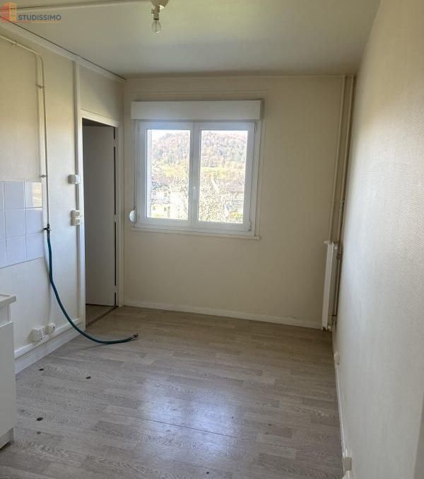 Studio 57m² Bar-sur-Aube - Spacieux, lumineux - Photo 2
