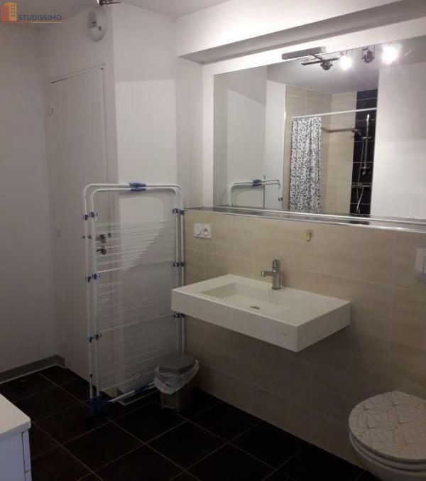 Studio meublé 24m² Troyes - Meublé, DPE C - Photo 3