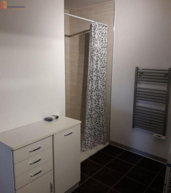 Studio meublé 24m² Troyes - Meublé, DPE C - Photo 1
