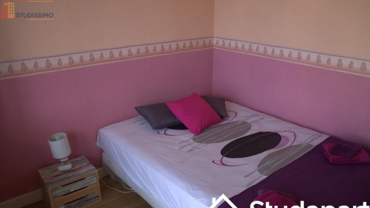Studio 10m² Troyes - Meublé, dernier étage - Photo 4
