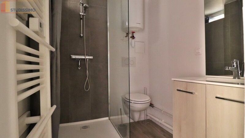 Studio meublé 14m² Troyes centre - Meublé, DPE C - Photo 1