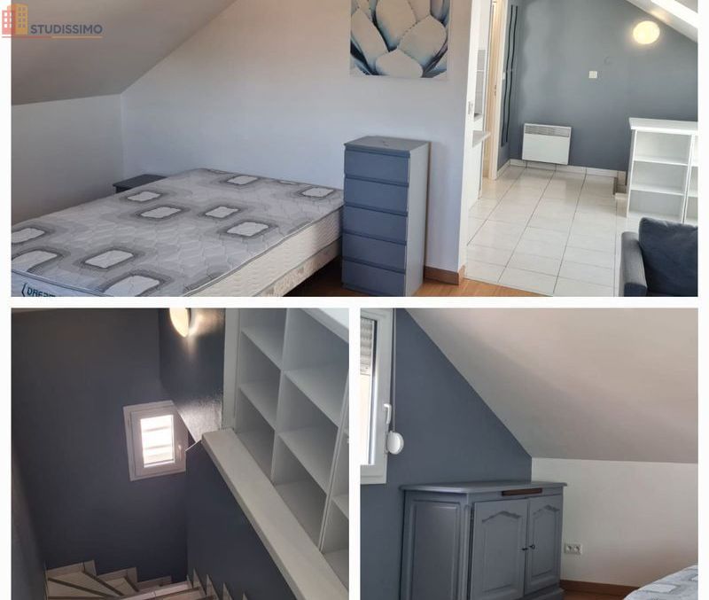 Studio 45m² Troyes - Spacieux, meublé - Photo 1