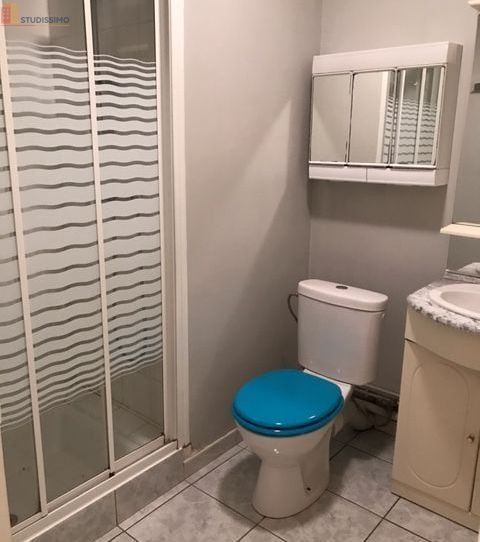 Studio meublé 20m² Bréviandes - Meublé, 2e étage - Photo 2