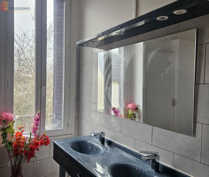 Studio meublé 40m² Troyes - Lumineux, calme - Photo 1