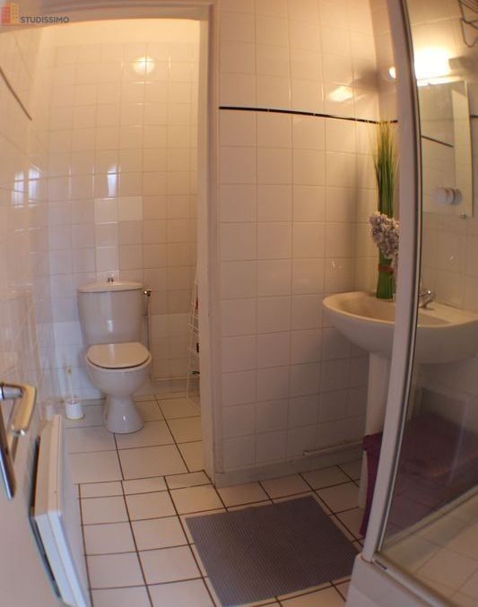 Studio 35m² Troyes - Meublé, très lumineux - Photo 8