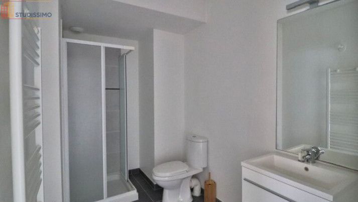 Studio meublé 20m² Saint-Pouange - Meublé, DPE D - Photo 6
