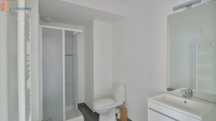 Studio meublé 20m² Saint-Pouange - Meublé, DPE D - Photo 4