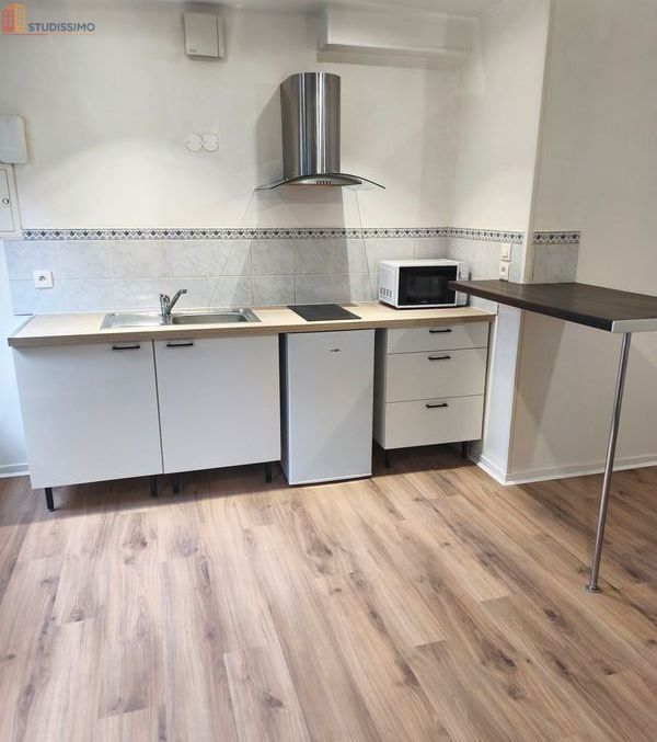 Studio 29m² Troyes centre - Lumineux, spacieux - Photo 2