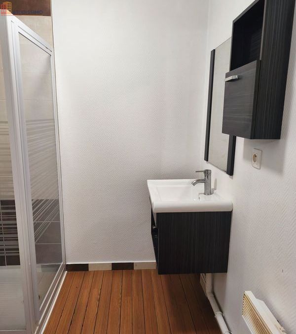 Studio 29m² Troyes centre - Lumineux, spacieux - Photo 1