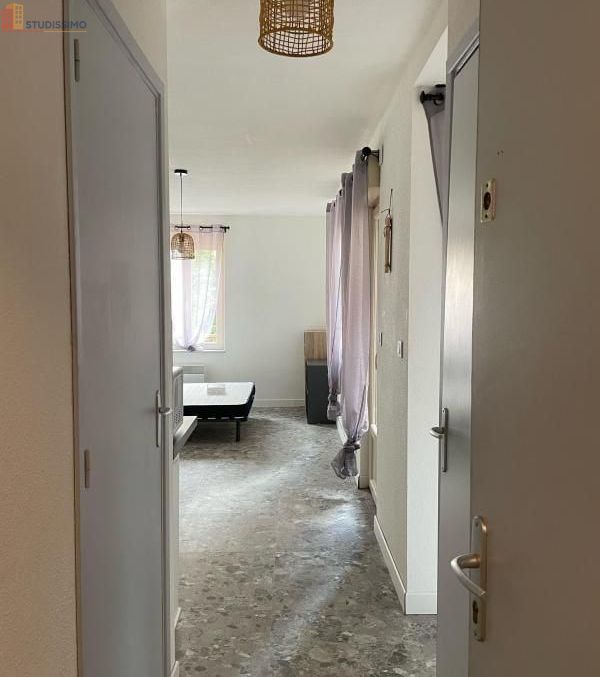 Studio meublé 21m² Rodez - Meublé, DPE D - Photo 4