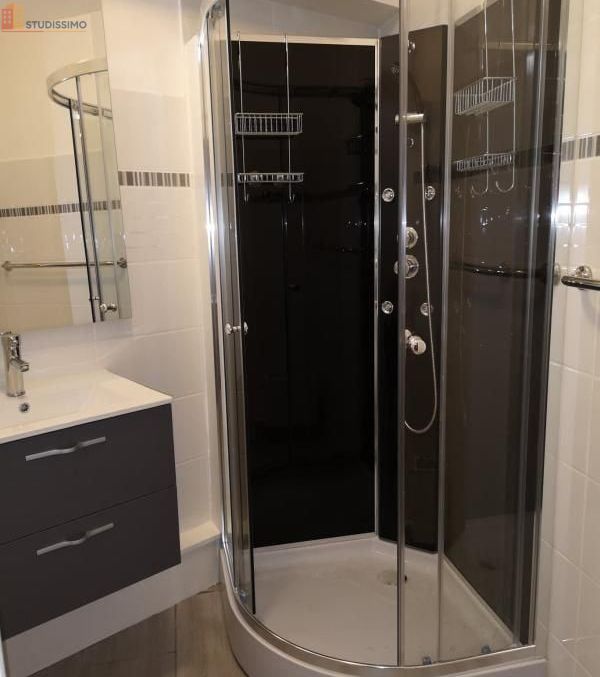 Studio 24m² Rodez - Meublé, lumineux - Photo 2