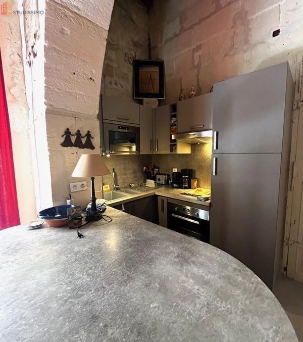 Studio meublé 44m² Arles - Spacieux, DPE D - Photo 15