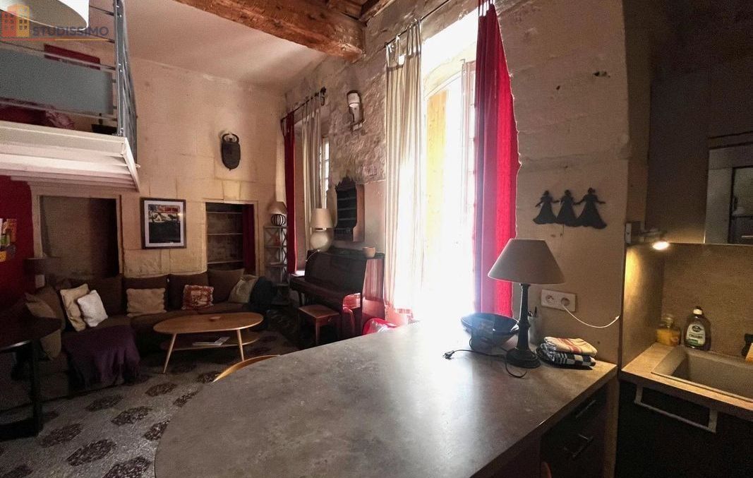 Studio meublé 44m² Arles - Spacieux, DPE D - Photo 8