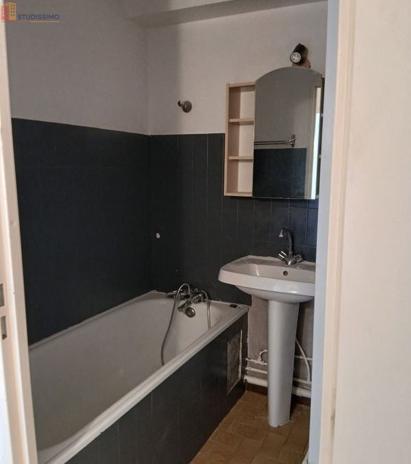 Studio 30m² Saint-Martin-de-Crau - Étage élevé, lumineux - Photo 4