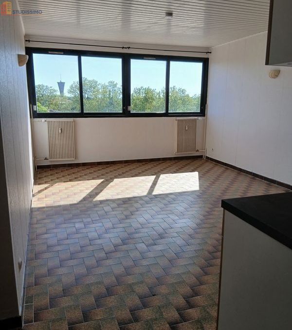 Studio 30m² Saint-Martin-de-Crau - Étage élevé, lumineux - Photo 2