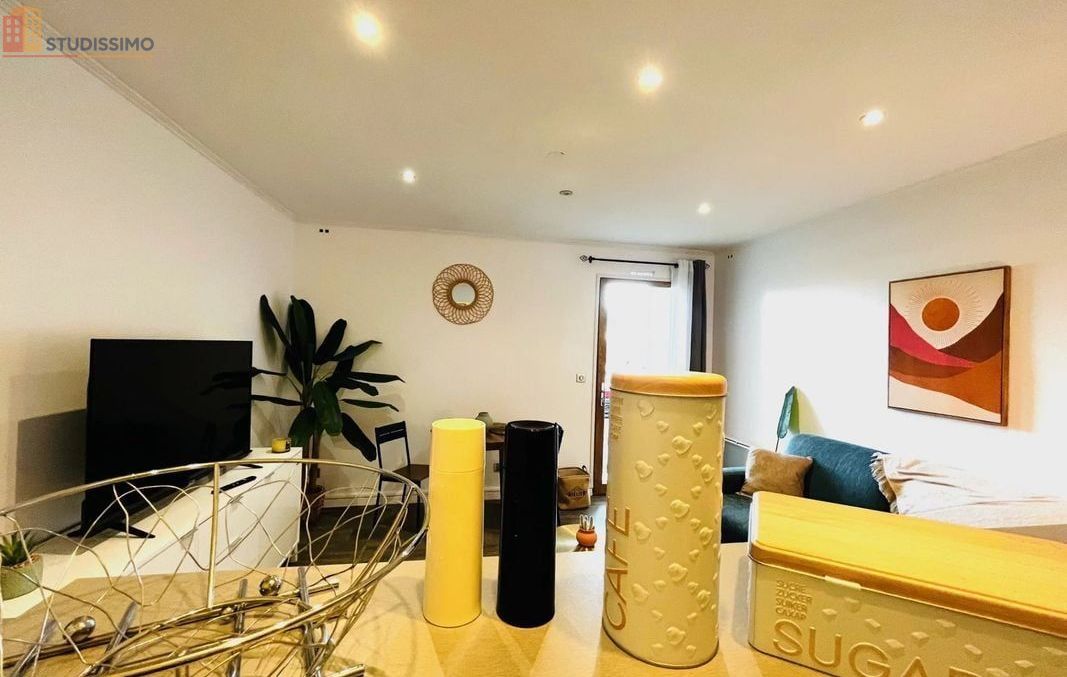 Studio meublé 25m² Arles - Meublé, DPE D - Photo 3