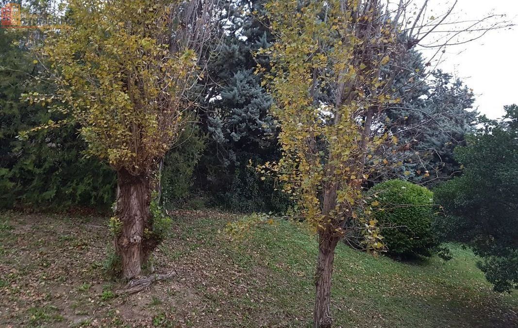 Studio meublé 20m² Aix-en-Provence - Meublé, DPE D - Photo 1