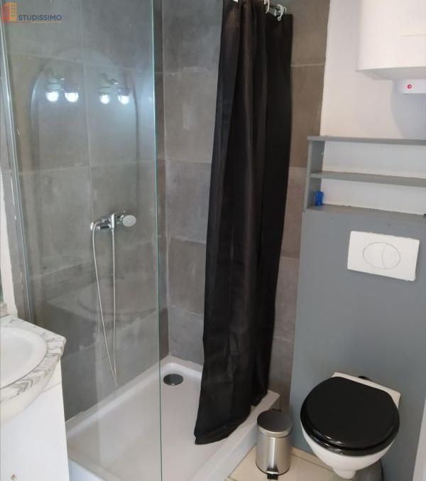 Studio meublé 20m² Arles - Meublé, DPE D - Photo 1