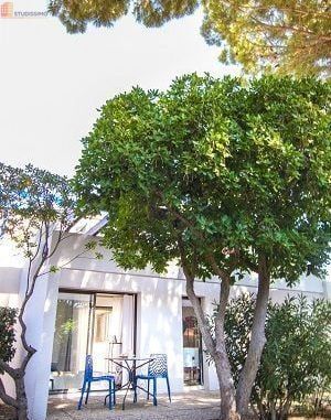 Studio meublé 30m² Narbonne - Meublé, DPE D - Photo 3