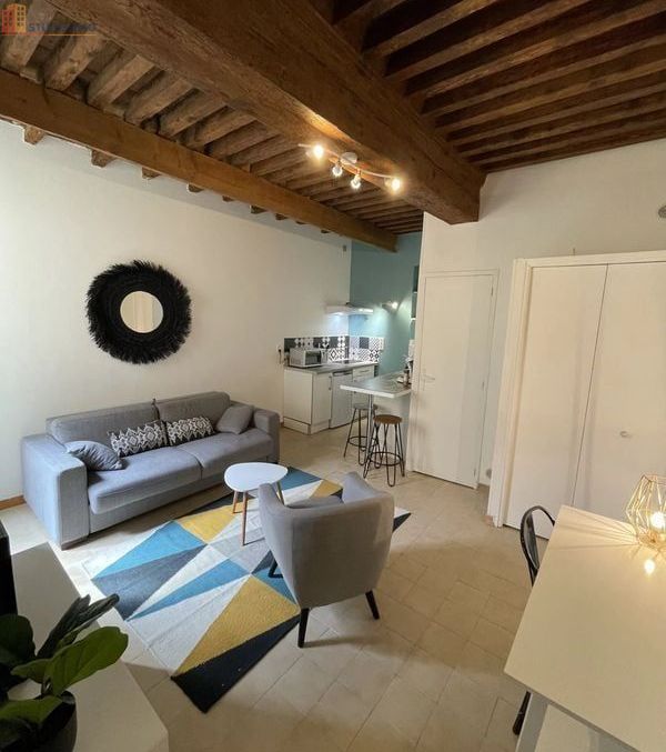 Studio meublé 20m² Arles 13200 - Meublé, DPE C - Photo 8