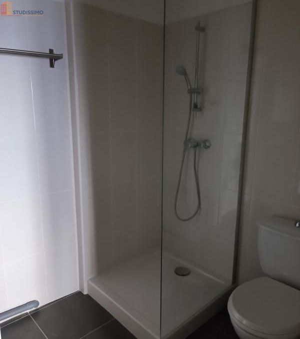 Studio meublé 16m² Castelnaudary - Meublé, DPE D - Photo 4
