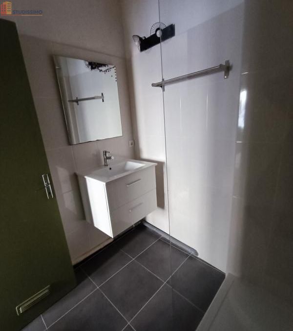 Studio meublé 16m² Castelnaudary - Meublé, DPE D - Photo 3