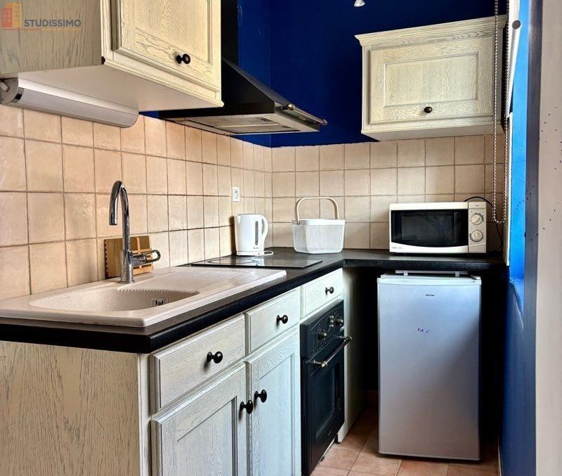 Studio meublé 24m² La Roque-d'Anthéron - Meublé, 2e étage - Photo 1