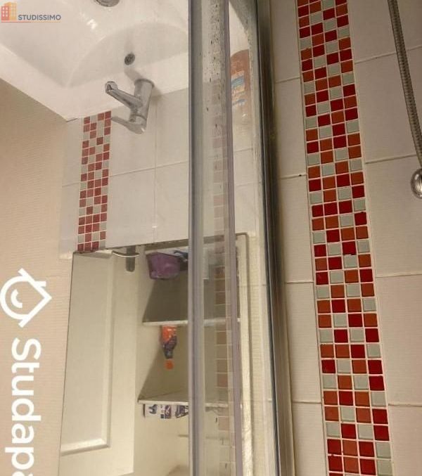 Studio 75m² Caen - Meublé, DPE A - Photo 9