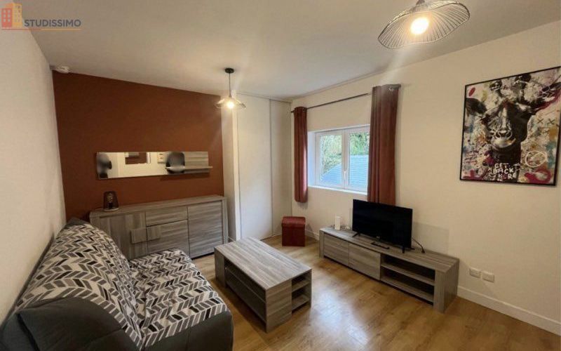 Studio 22m² Lisieux 14100 - Meublé, dernier étage - Photo 4