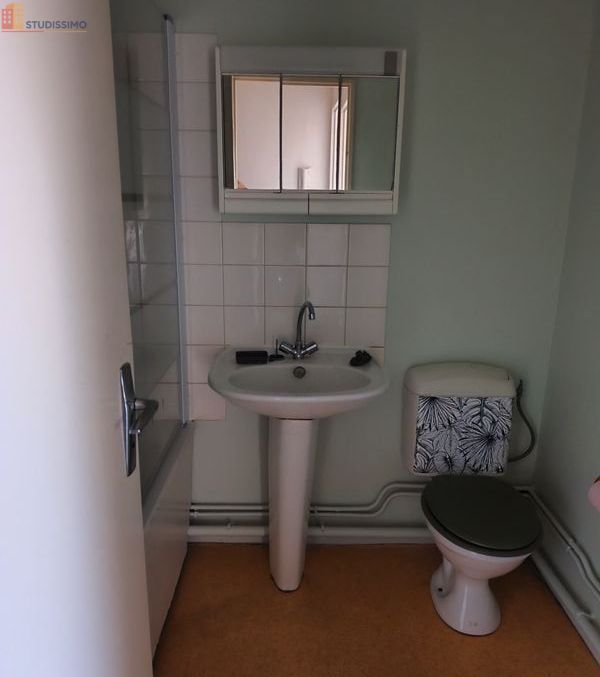 Studio 20m² Lisieux centre-ville - Dernier étage, lumineux - Photo 3