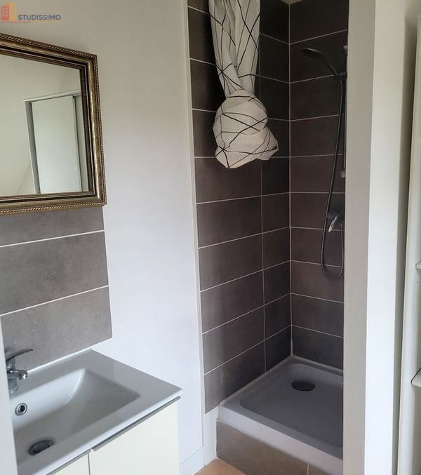 Studio meublé 12m² Cambes-en-Plaine - Meublé, DPE C - Photo 2