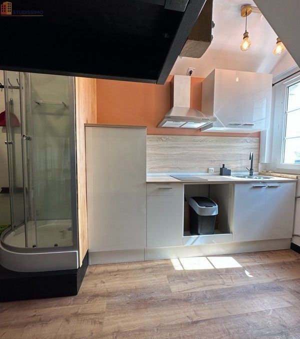 Studio meublé 14m² Caen centre - 5e étage, lumineux - Photo 5