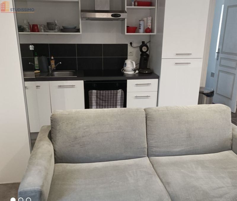 Studio meublé 20m² Bayeux - Lumineux, meublé - Photo 3