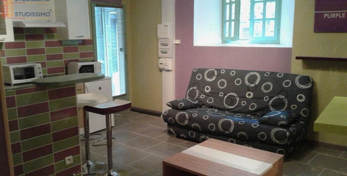 Studio meublé 25m² Saint-Flour 15100 - Meublé, 1 pièce - Photo 3