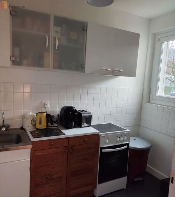 Studio 35m² Vic-sur-Cère 15800 - Photo 1