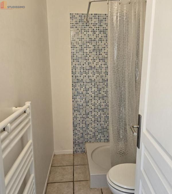 Studio meublé 25m² Angoulême - Meublé, DPE D - Photo 1