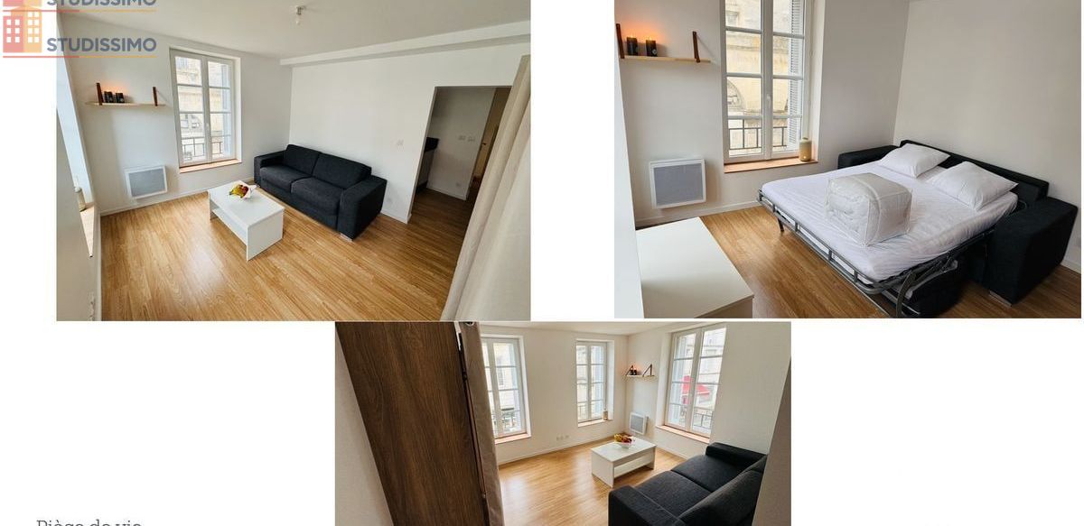 Studio meublé 26m² Châteauneuf-sur-Charente - Rénové, lumineux - Photo 1
