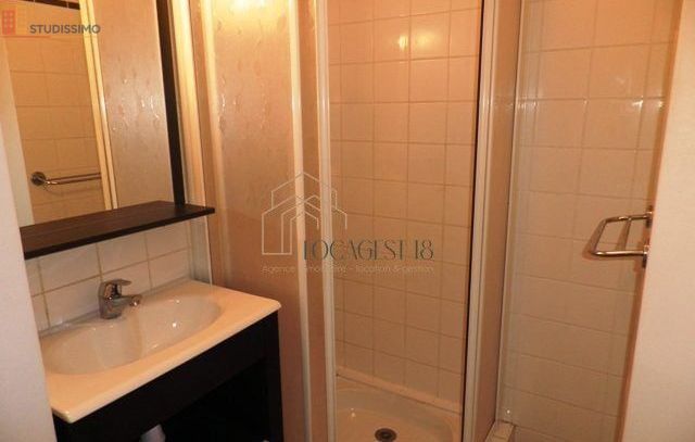 Studio meublé 19m² Bourges - Meublé, 3e étage - Photo 3