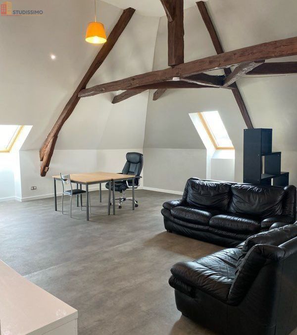 Studio 60m² Vierzon centre - Meublé, grand séjour - Photo 5