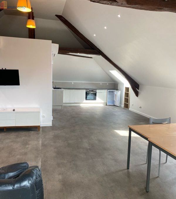 Studio 60m² Vierzon centre - Meublé, grand séjour - Photo 4