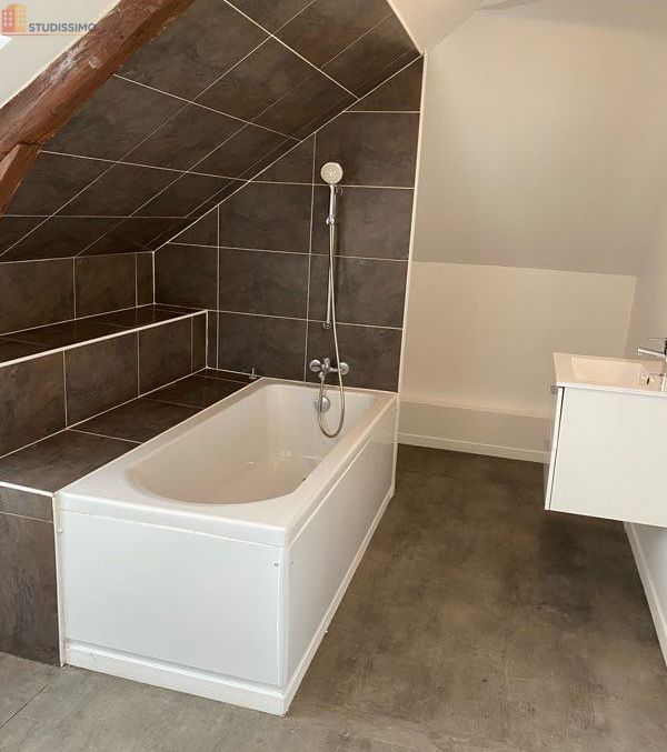 Studio 60m² Vierzon centre - Meublé, grand séjour - Photo 1
