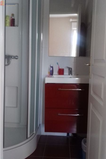 Studio meublé 17m² Bourges - Meublé, place de parking - Photo 5