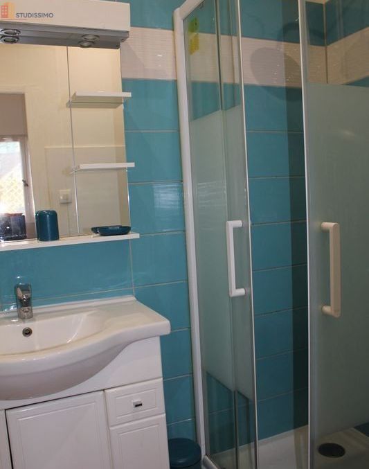 Studio meublé 28m² Bourges 18000 - Meublé, DPE D - Photo 8