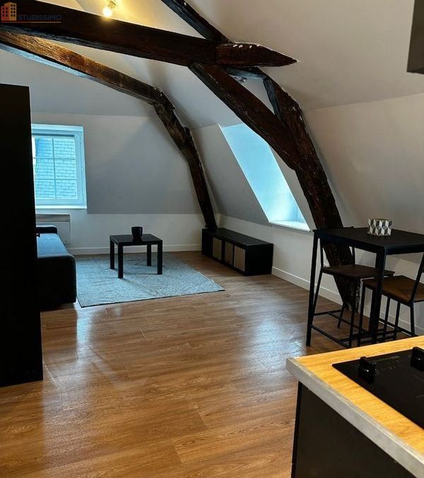 Studio meublé 24m² Bourges centre - Hyper centre, lumineux - Photo 1