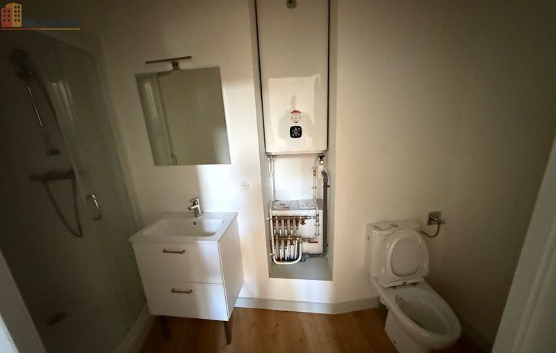Studio 25m² Neuvy-sur-Barangeon - - Photo 1