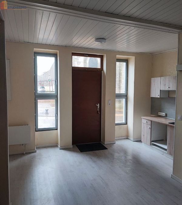 Studio 26m² Sancergues 18140 - Photo 1