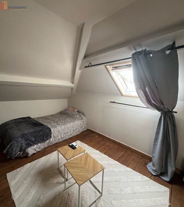 Studio 28m² Vierzon - Meublé, lumineux - Photo 3