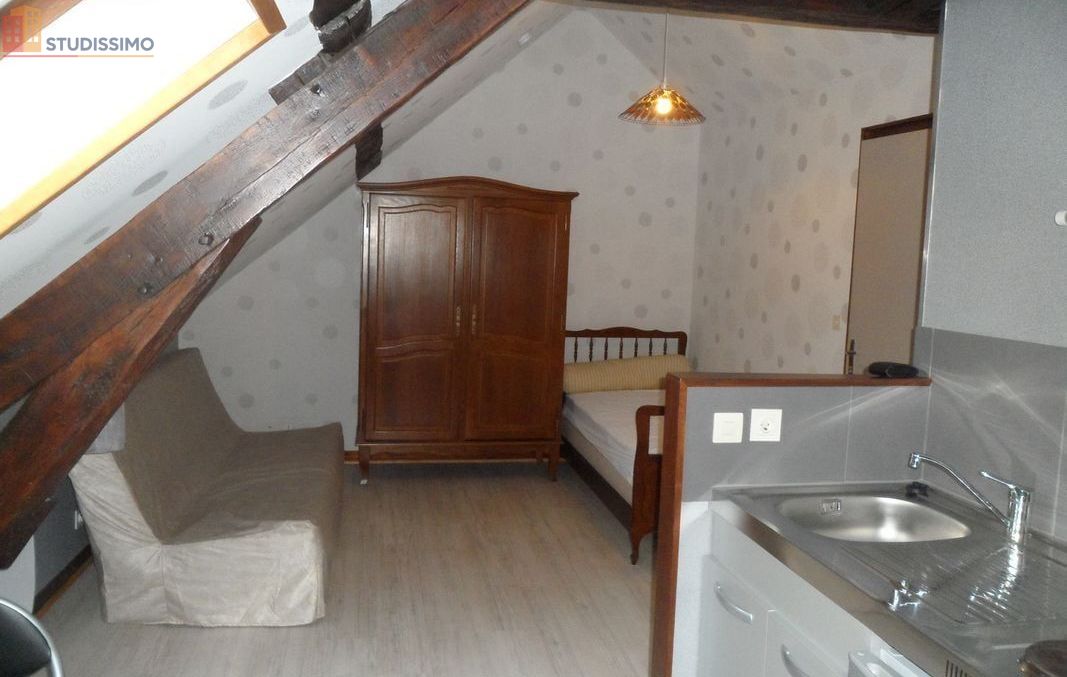 Studio 30m² Mehun-sur-Yèvre - 2e étage, lumineux - Photo 5